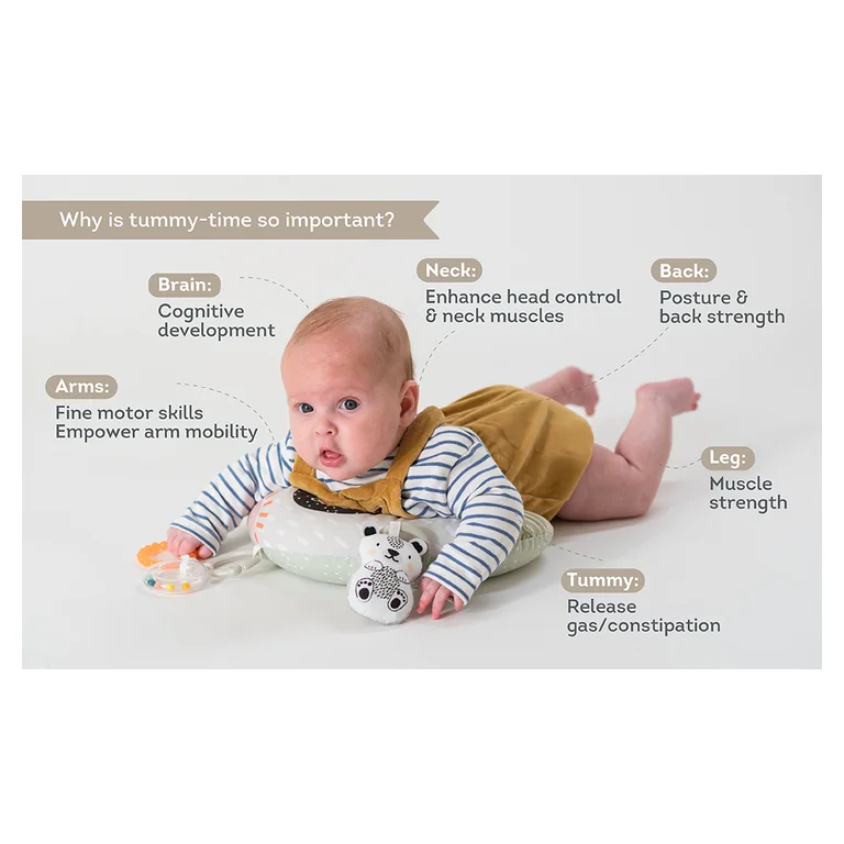 Taf Toys Roller do Tummy Time
